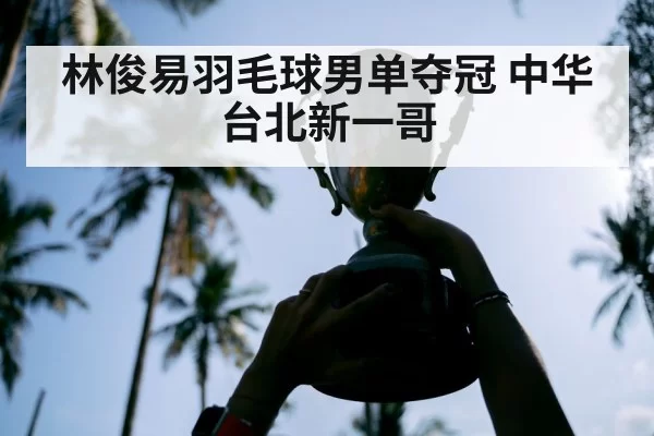 林俊易羽毛球男单夺冠 中华台北新一哥