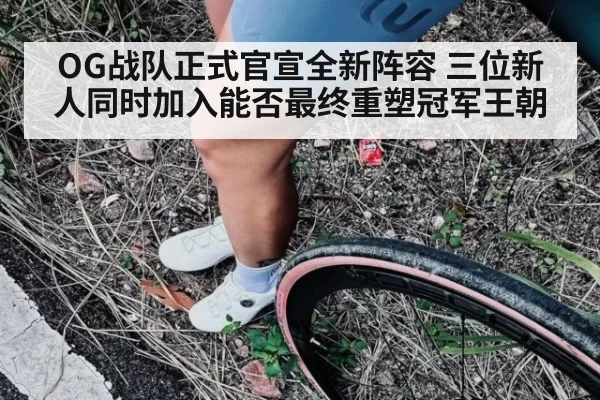 OG战队正式官宣全新阵容 三位新人同时加入能否最终重塑冠军王朝